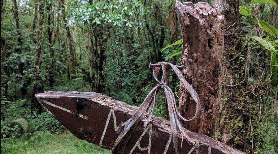 Mount Matavanu Crater, North Savai’i, Samoa